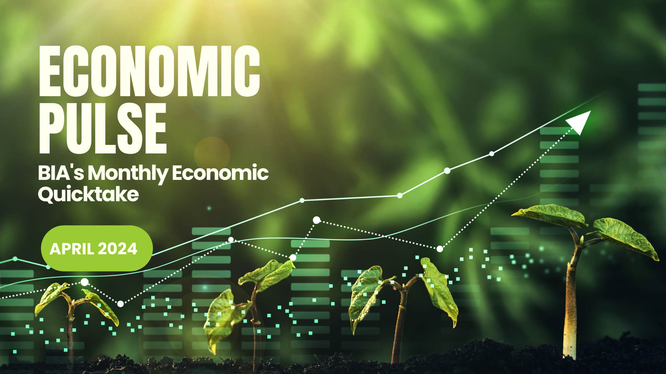 Economic Pulse – April 2024