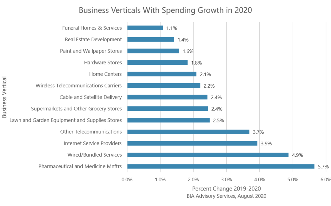 Five Themes for Finding Growth in a Pandemic Down Market